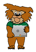 Wildcat Holding Chromebook